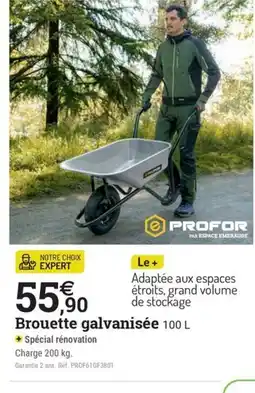 Espace emeraude PROFOR Brouette galvanisée offre
