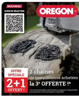 Espace emeraude 2 chaînes de tronçonneuse achetées offre