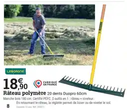 Espace emeraude Râteau polymère 20 dents Duopro offre