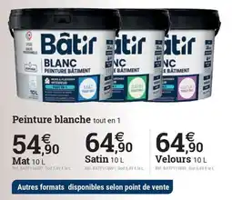 Espace emeraude Peinture blanche tout en 1 offre