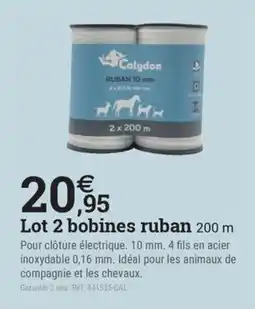Espace emeraude Lot 2 bobines ruban 200 m offre
