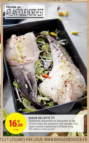 Intermarché Queue de lotte offre