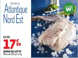Auchan Queue de lotte offre