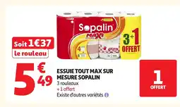 Auchan SOPALIN Essuie tout max sur mesure offre