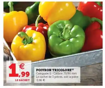 Poivron Tricolore