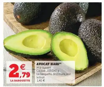 Avocat Hass