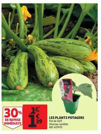 Auchan Direct Les Plants Portagers offre