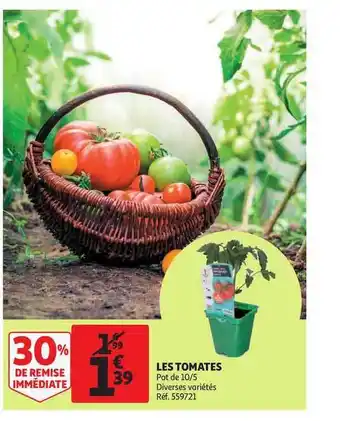 Auchan Direct Les Tomates offre