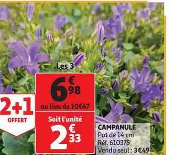 Auchan Direct Campanule offre