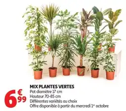 Auchan Supermarché Mix plantes vertes offre