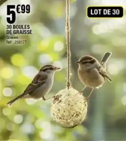 La Foir'Fouille 30 boules de graisse offre