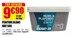 Décor Discount Peinture blanc mat offre