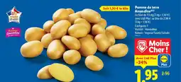 Lidl Pomme de terre Amandine offre