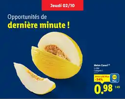 Lidl Melon Canari offre