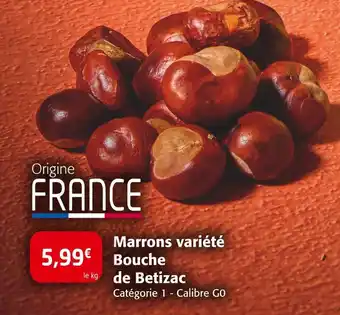 Colruyt Marrons variété Bouche de Betizac offre
