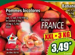 Norma Pommes bicolores Gala offre