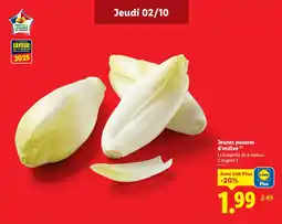 Lidl Jeunes pousses d'endive offre