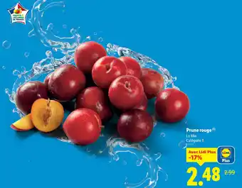 Lidl Prune rouge offre