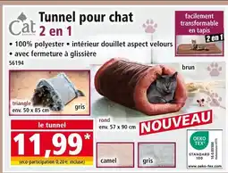Norma Tunnel pour chat 2 en 1 triangle offre