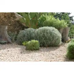 Jardiland Gravillon calcaire concassé offre