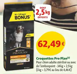 Maxi Zoo Purina Pro Plan Croquettes offre