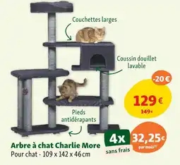 Maxi Zoo More Arbre à chat Charlie offre