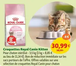 Maxi Zoo Royal Canin Croquettes Kitten offre