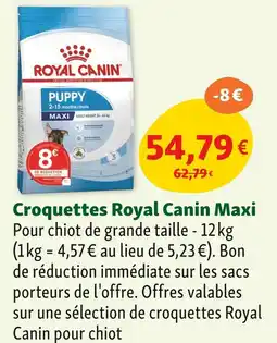 Maxi Zoo Royal Canin Croquettes Maxi offre