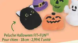 Maxi Zoo FIT+FUN Peluche Halloween offre
