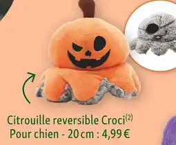 Maxi Zoo Citrouille reversible Croci offre