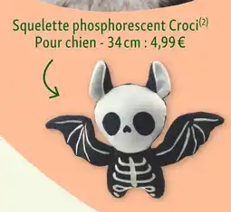 Maxi Zoo Squelette phosphorescent Croci offre