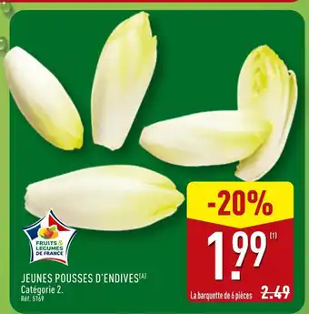 ALDI Jeunes pousses d'endives offre