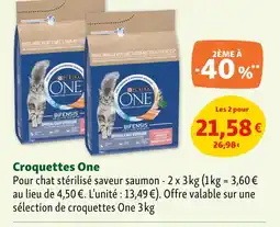 Maxi Zoo Purina One Croquettes offre