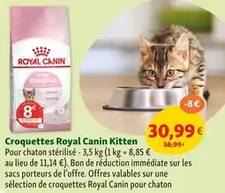 Maxi Zoo Croquettes royal canin kitten offre