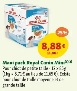 Maxi Zoo Maxi pack royal canin mini offre