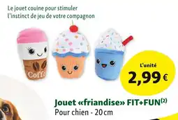 Maxi Zoo Jouet friandise fit+fun offre
