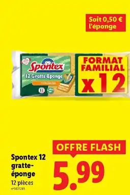 Lidl SPONTEX 12 gratte- éponge offre