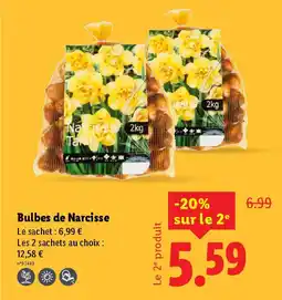 Lidl Bulbes de Narcisse offre