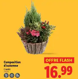Lidl Composition d'automne offre