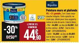 Tridôme RIPOLIN Peinture murs et plafonds offre