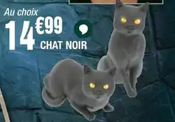 La Foir'Fouille Chat noir offre