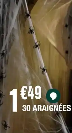 La Foir'Fouille 30 araignées offre