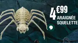 La Foir'Fouille Araignée squelette offre