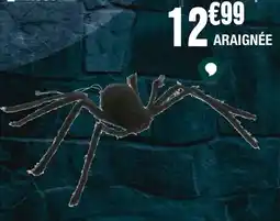 La Foir'Fouille Araignée offre