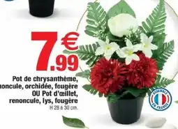 Bazarland Pot de chrysanthème, renoncule, orchidée, fougère offre