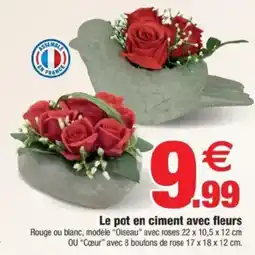 Bazarland Le pot en ciment avec fleurs offre