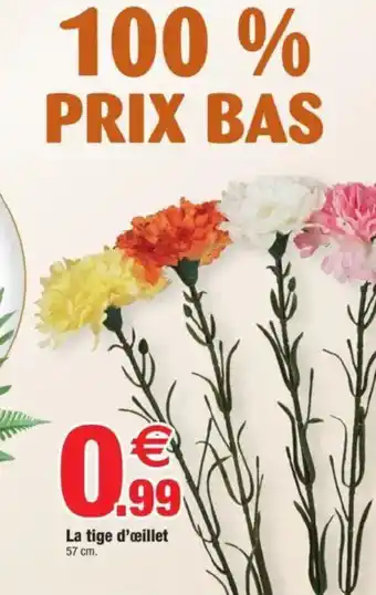 Bazarland La tige d'œillet offre