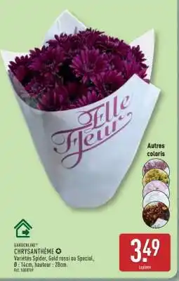 ALDI Chrysanthème offre