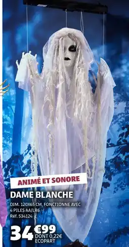 Gifi Dame Blanche offre