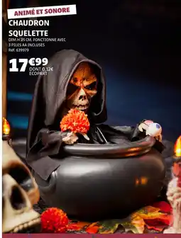 Gifi Chaudron Squelette offre